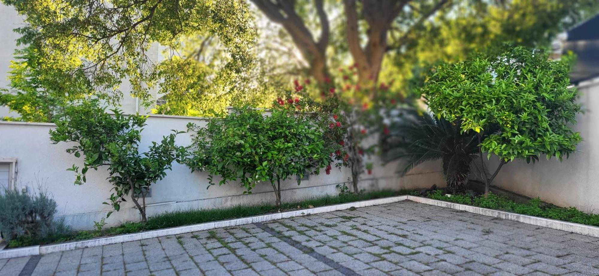 Apartments Villa Alba Dubrovnik Ngoại thất bức ảnh