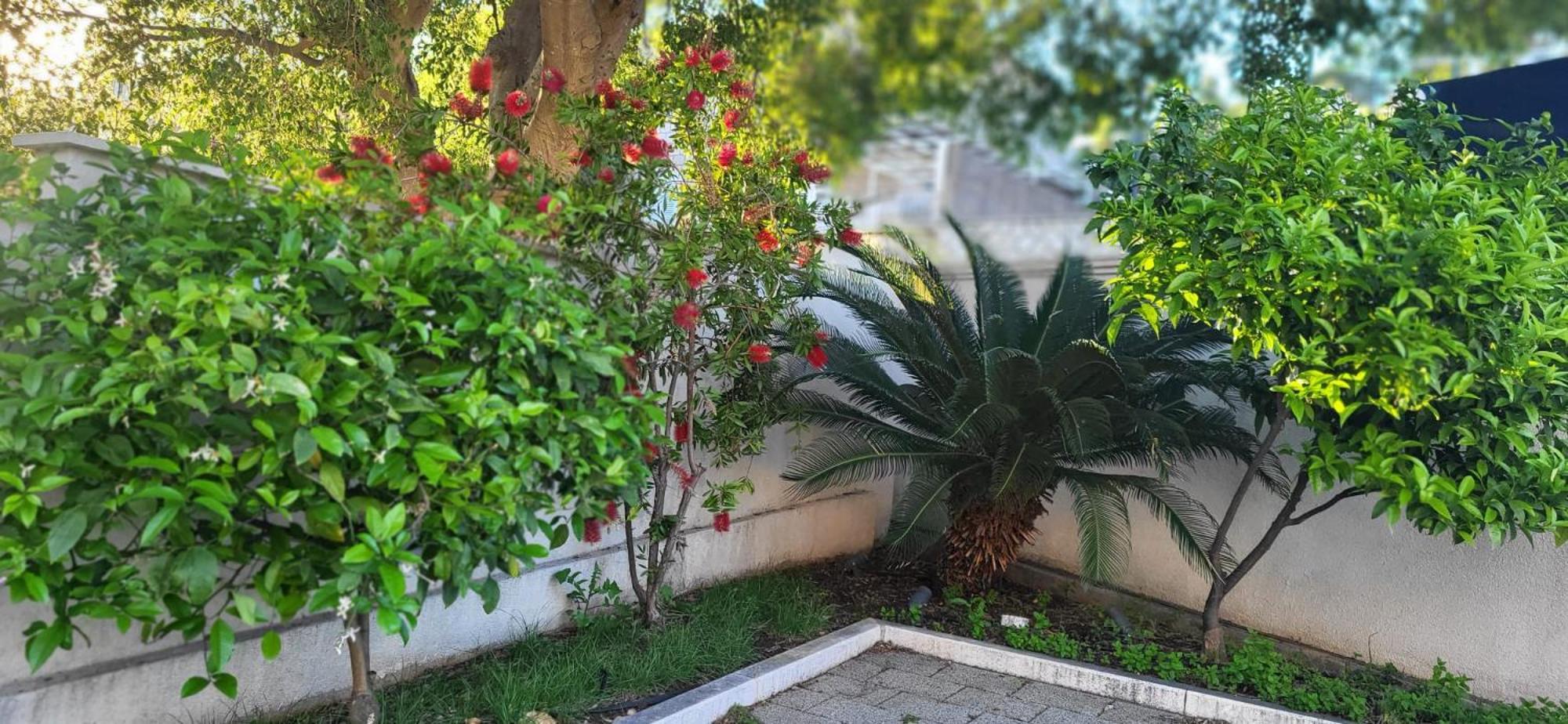 Apartments Villa Alba Dubrovnik Ngoại thất bức ảnh