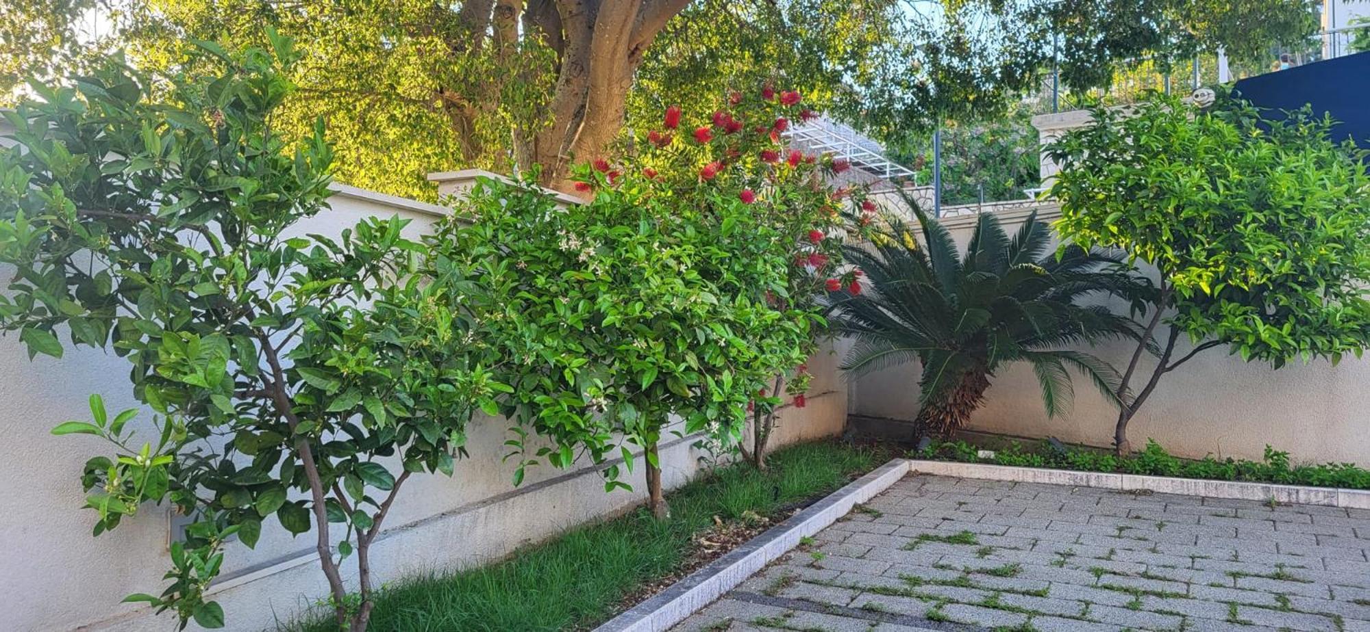 Apartments Villa Alba Dubrovnik Ngoại thất bức ảnh